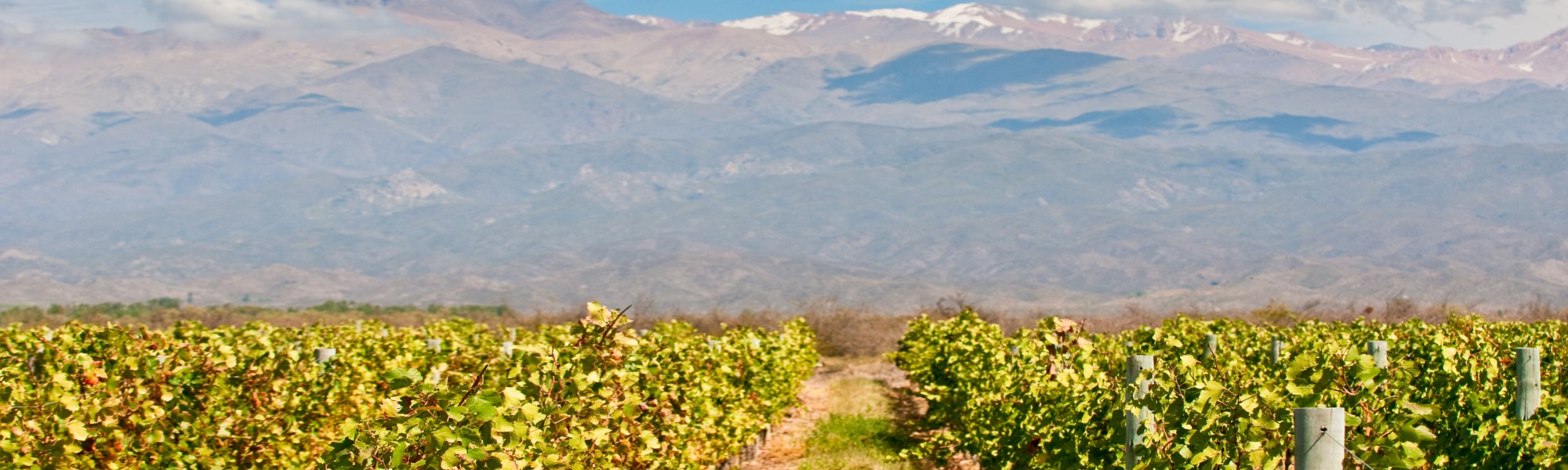 Argentina gastronómica