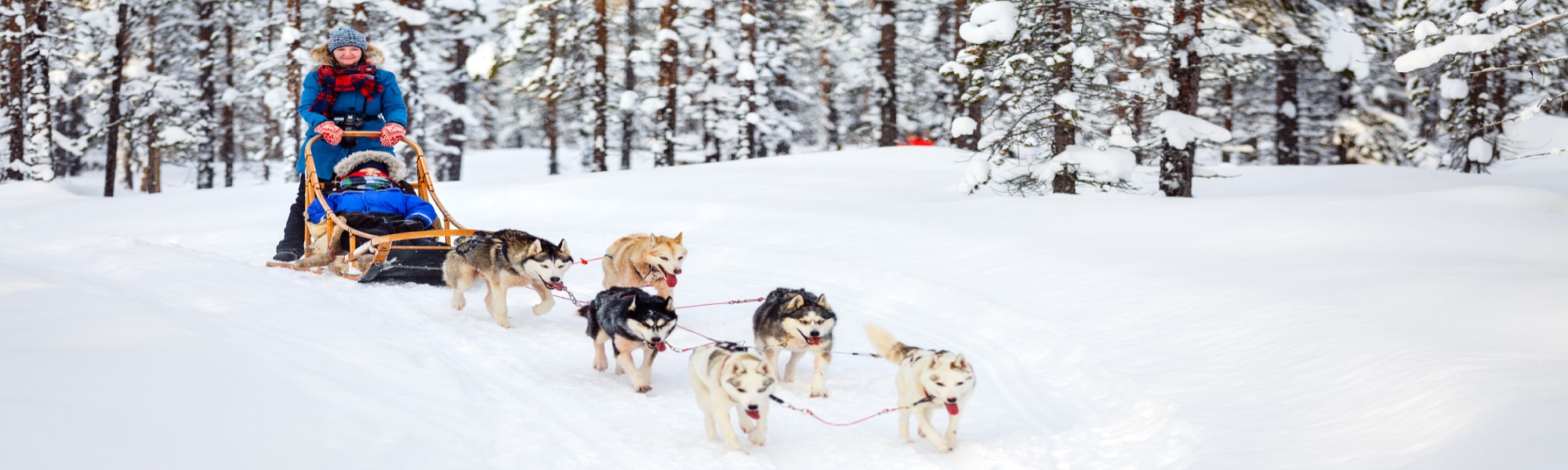 Lapònia Pont de Desembre