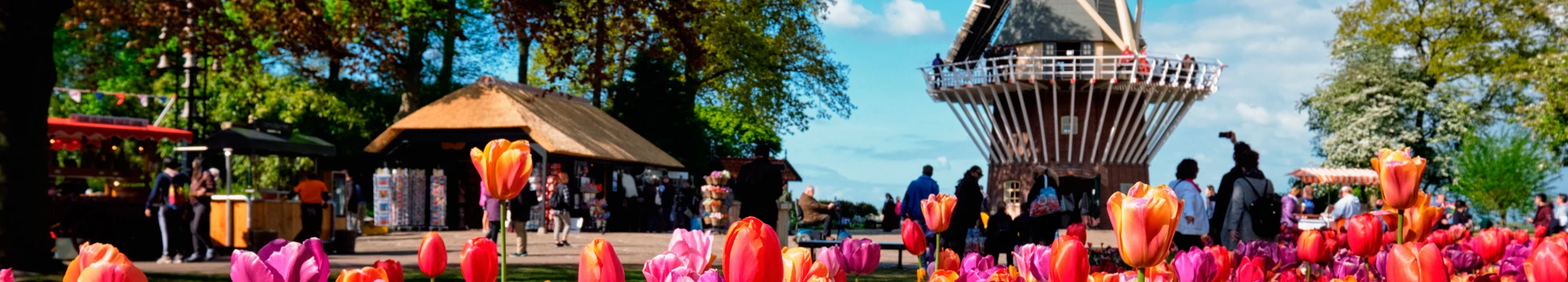 Amsterdam i els seus tulipans