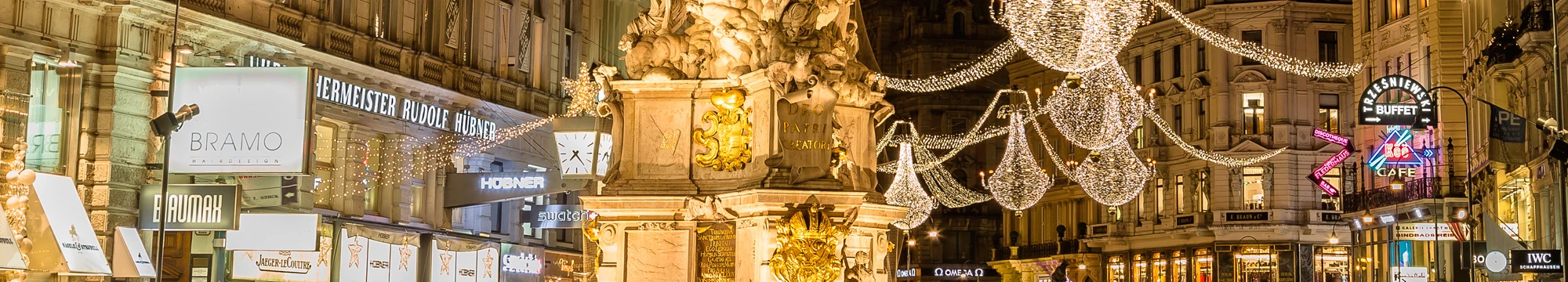 ¡Fin de Año en Viena!