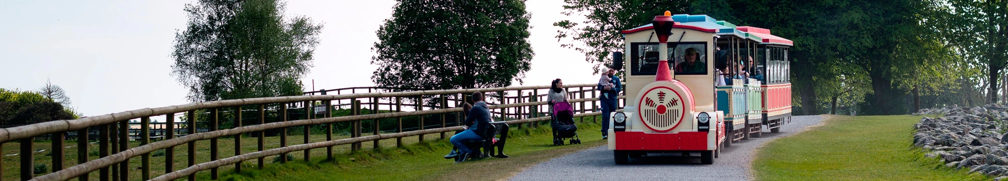 Duendes, castillos y hadas