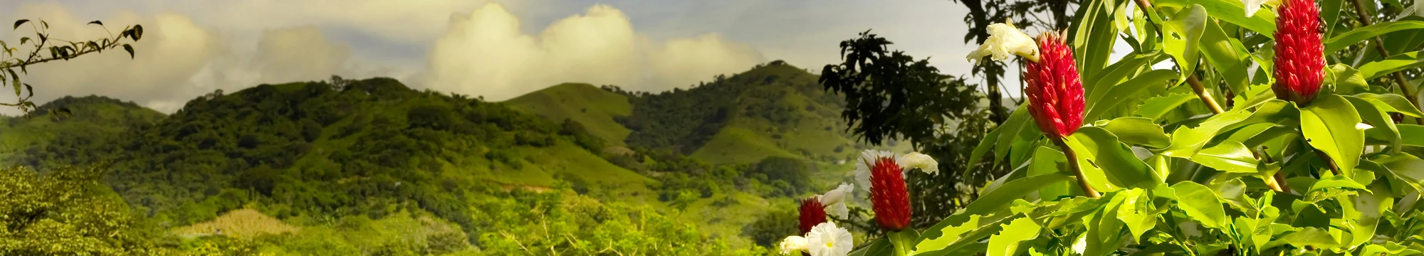 Costa Rica en familia