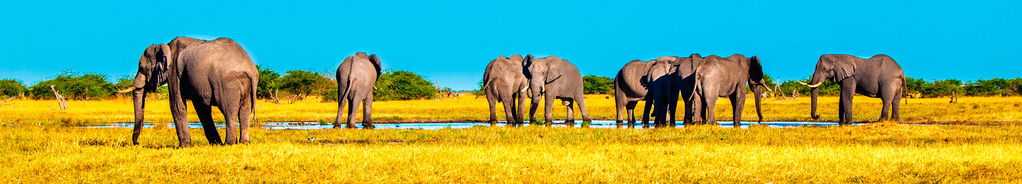 Zambia, Zimbabue y Botsuana