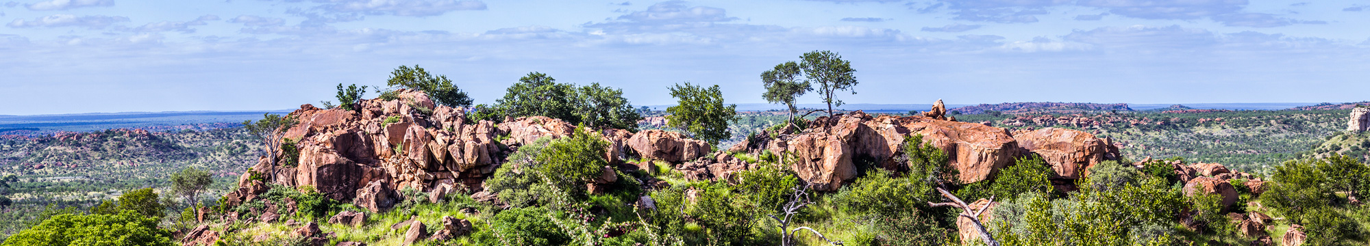 Sudáfrica y la Ruta Jardín