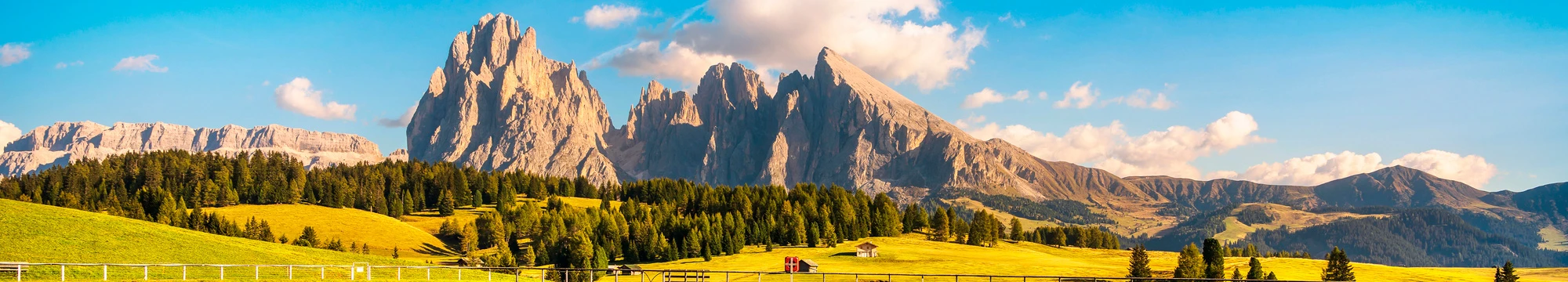 Alps Suïssos