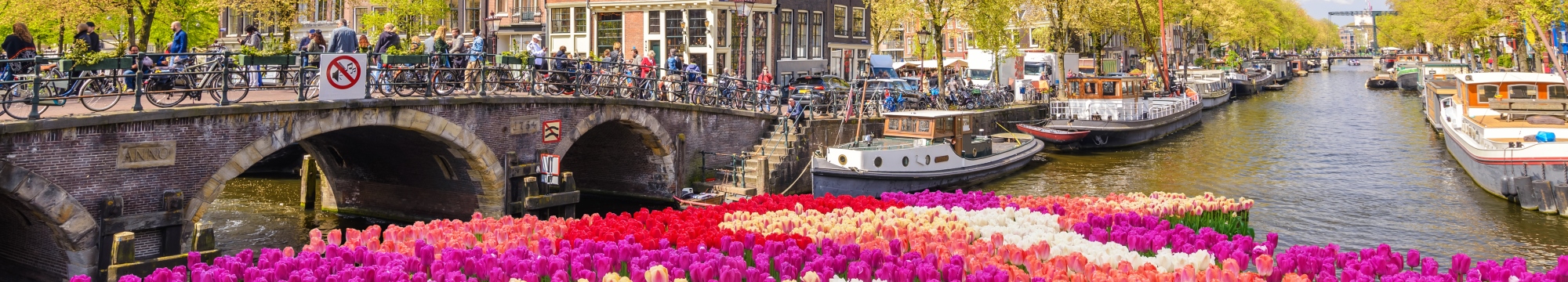Ámsterdam y los tulipanes