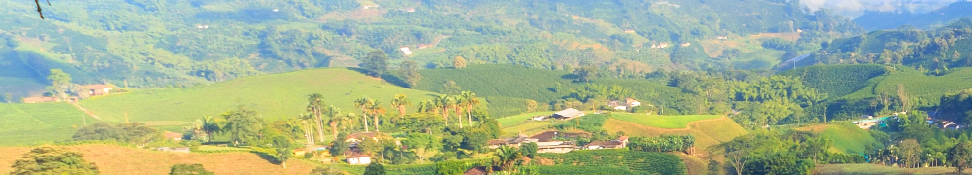 Aventura en Colombia